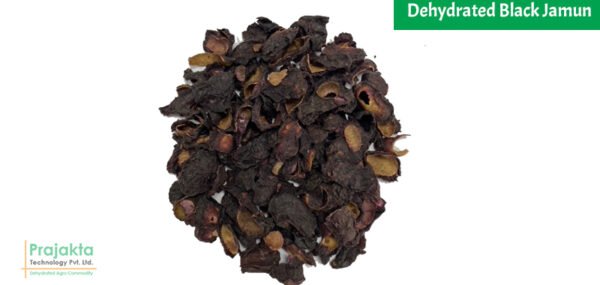 Dehydrated-Black-Jamun