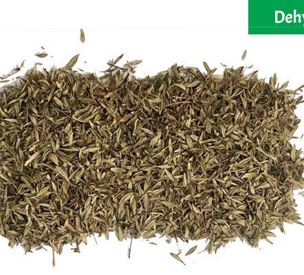 Dehydrated-Thyme