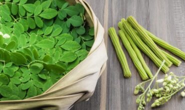Moringa-