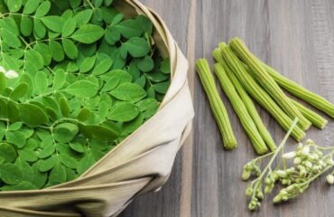 Moringa-