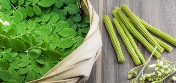 Moringa- Moringa-