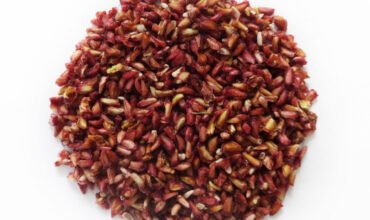 58c63935-72fb-a999-d921-46df660c99b0