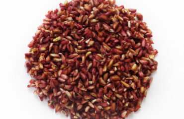 58c63935-72fb-a999-d921-46df660c99b0