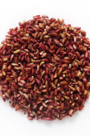 58c63935-72fb-a999-d921-46df660c99b0