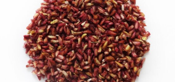 58c63935-72fb-a999-d921-46df660c99b0